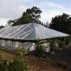 40x100 Clear Tent with Black Tension Valance 40x100 Clear Tent with Black Tension Valance