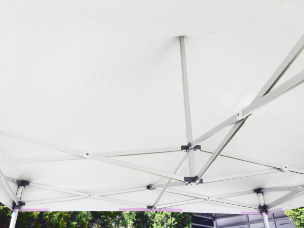 Popup Center Mast Inside Frame 10x10 Commercial Pop-Up Top and Frame