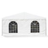 Windowed Sidewall 8x20 window sidewall